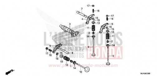 VALVE ARBRE A CAME (AVANT) VT750CSD de 2013